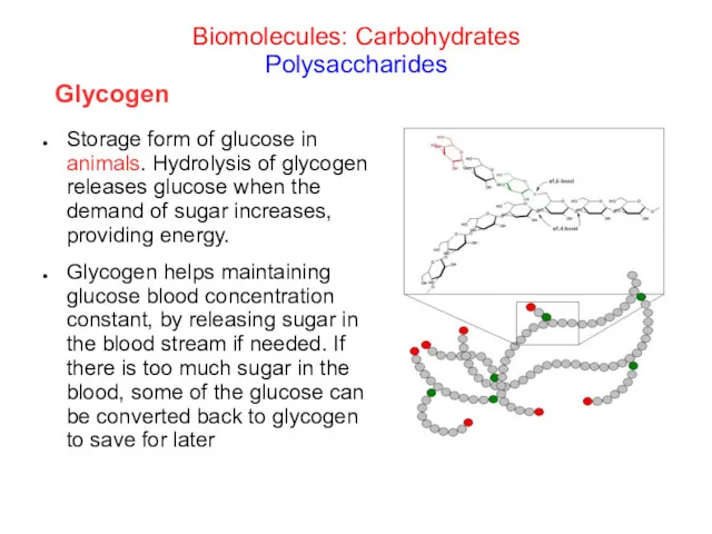 Storage form of glucose in animals. Hydrolysis of glycogen releases glucose when the
