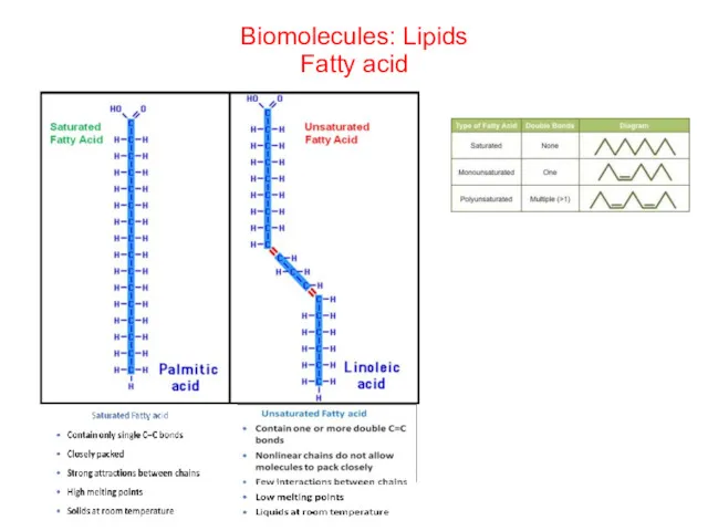 Biomolecules: Lipids Fatty acid