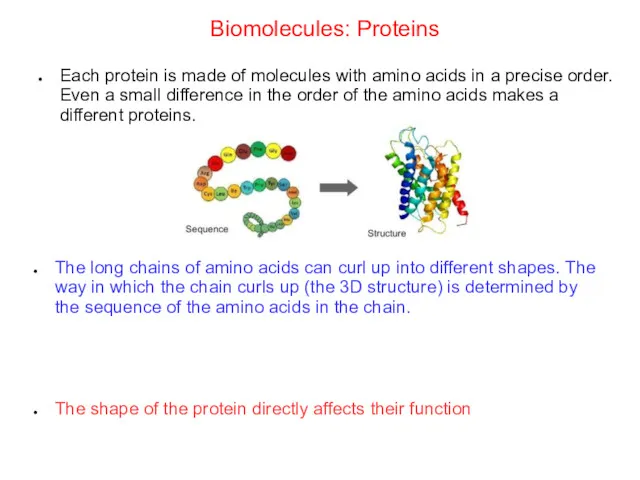 Biomolecules: Proteins Each protein is made of molecules with amino acids in a