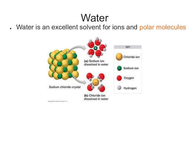 Water Water is an excellent solvent for ions and polar molecules