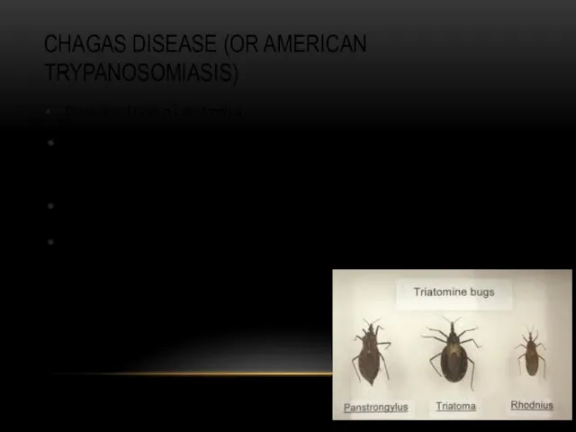 CHAGAS DISEASE (OR AMERICAN TRYPANOSOMIASIS) Distribution: Mainly in Latin America