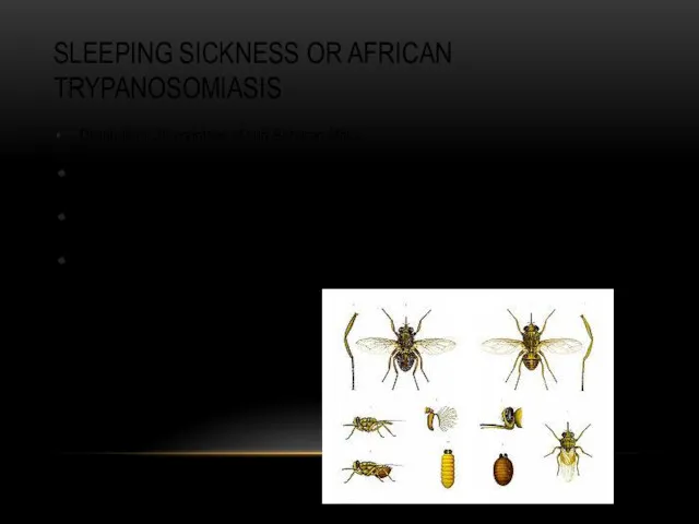 SLEEPING SICKNESS OR AFRICAN TRYPANOSOMIASIS Distribution: 36 countries of sub
