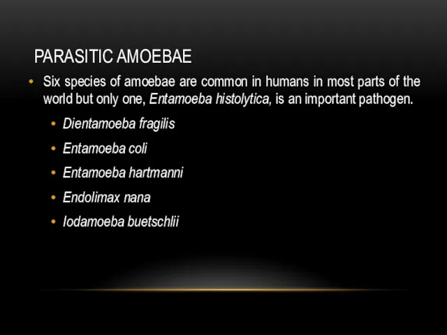 PARASITIC AMOEBAE Six species of amoebae are common in humans