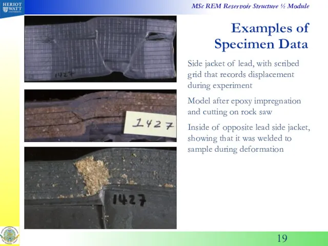 Examples of Specimen Data Side jacket of lead, with scribed