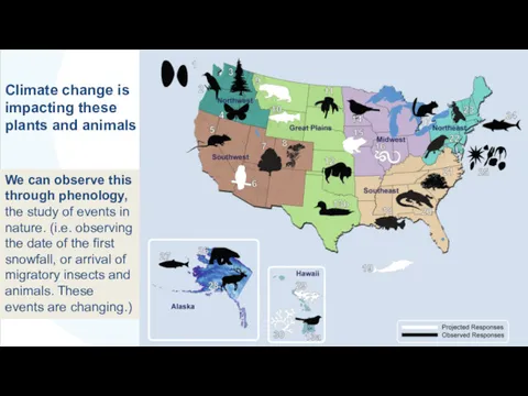 Climate change is impacting these plants and animals We can observe this through