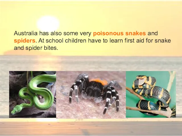 Australia has also some very poisonous snakes and spiders. At