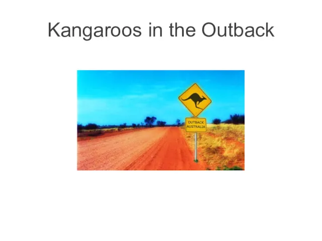 Kangaroos in the Outback