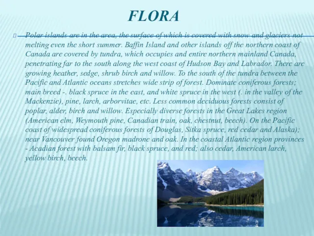FLORA Polar islands are in the area, the surface of
