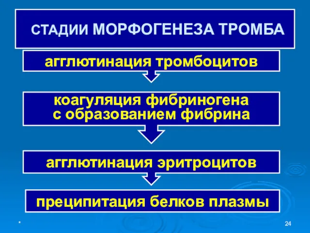 СТАДИИ МОРФОГЕНЕЗА ТРОМБА агглютинация эритроцитов коагуляция фибриногена с образованием фибрина агглютинация тромбоцитов преципитация белков плазмы *