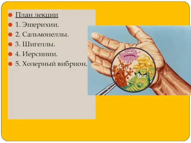 План лекции 1. Эшерихии. 2. Сальмонеллы. 3. Шигеллы. 4. Иерсинии. 5. Холерный вибрион.