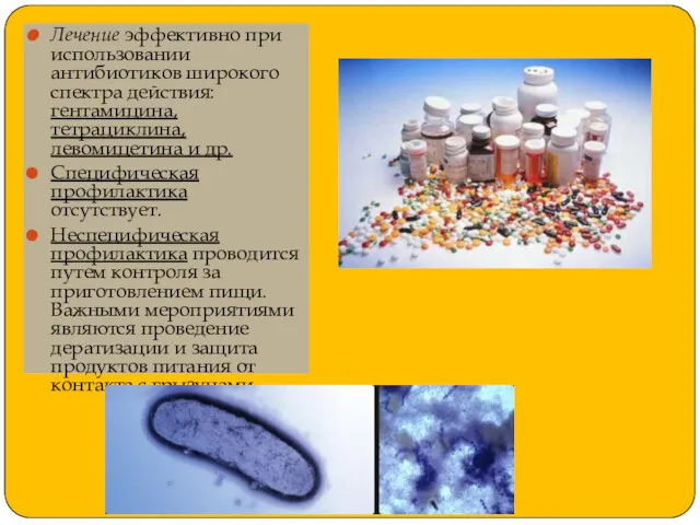 Лечение эффективно при использовании антибиотиков широкого спектра действия: гентамицина, тетрациклина,