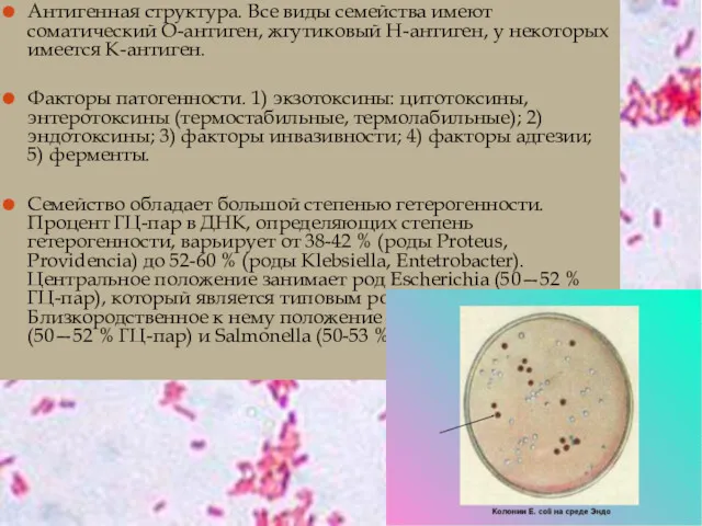 Антигенная структура. Все виды семейства имеют соматический О-антиген, жгутиковый Н-антиген,