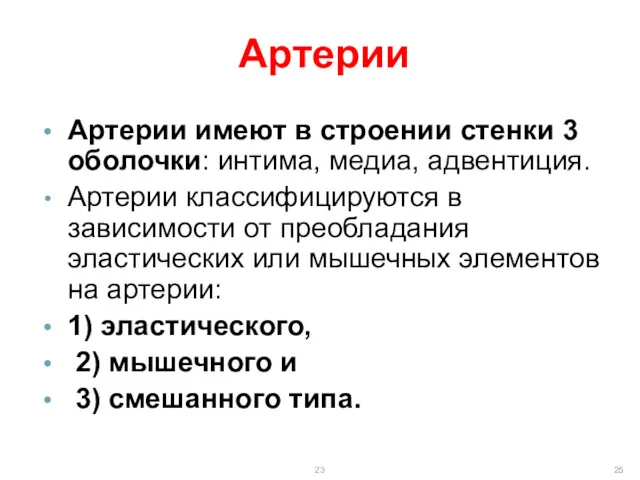 Артерии Артерии имеют в строении стенки 3 оболочки: интима, медиа,