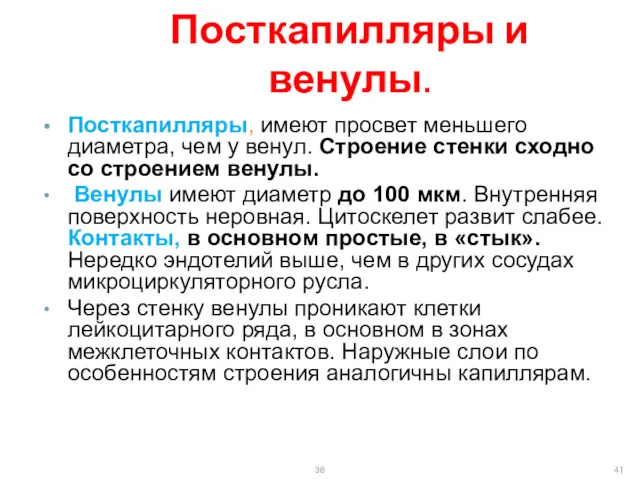 Посткапилляры и венулы. Посткапилляры, имеют просвет меньшего диаметра, чем у