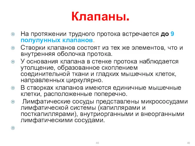 Клапаны. На протяжении трудного протока встречается до 9 полулунных клапанов.