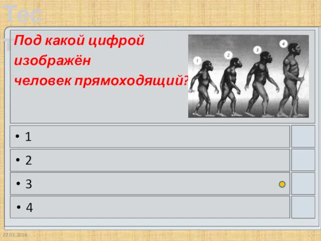 22.03.2016 Под какой цифрой изображён человек прямоходящий? 1 2 3 4