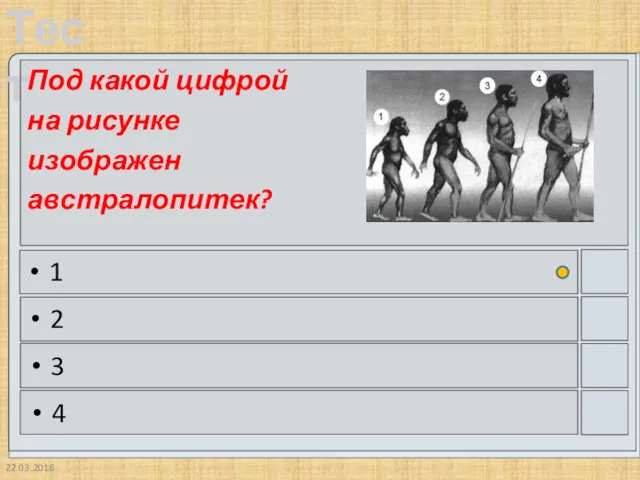 22.03.2016 Под какой цифрой на рисунке изображен австралопитек? 1 2 3 4