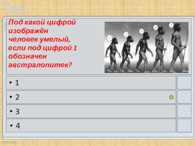 22.03.2016 Под какой цифрой изображён человек умелый, если под цифрой