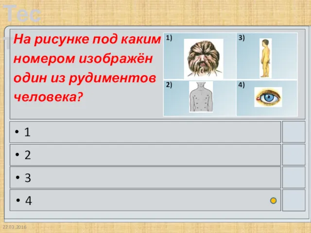 22.03.2016 На рисунке под каким номером изображён один из рудиментов человека? 1 2 3 4