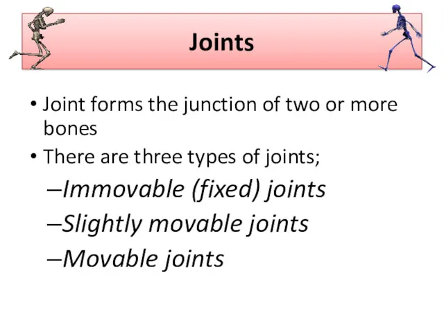 Joints Joint forms the junction of two or more bones