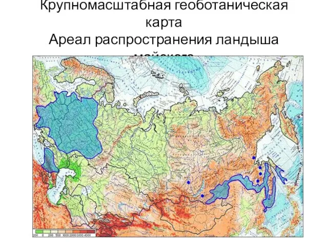 Крупномасштабная геоботаническая карта Ареал распространения ландыша майского