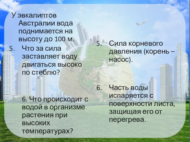 У эвкалиптов Австралии вода поднимается на высоту до 100 м.