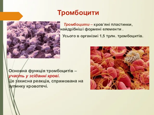Тромбоцити Тромбоцити – кров’яні пластинки, найдрібніші формені елементи . Усього