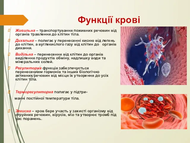 Функції крові Живильна – транспортування поживних речовин від органів травлення