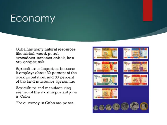 Economy Cuba has many natural resources like nickel, wood, petrol,