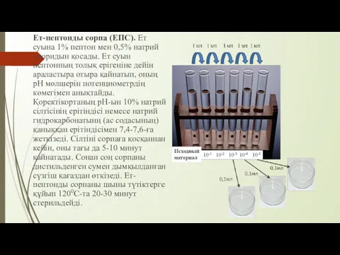 Ет-пептонды сорпа (ЕПС). Ет суына 1% пептон мен 0,5% натрий