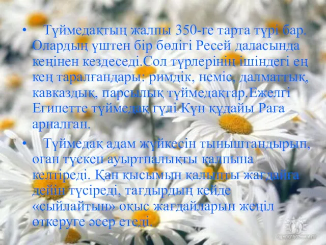 Түймедақтың жалпы 350-ге тарта түрі бар. Олардың үштен бір бөлігі