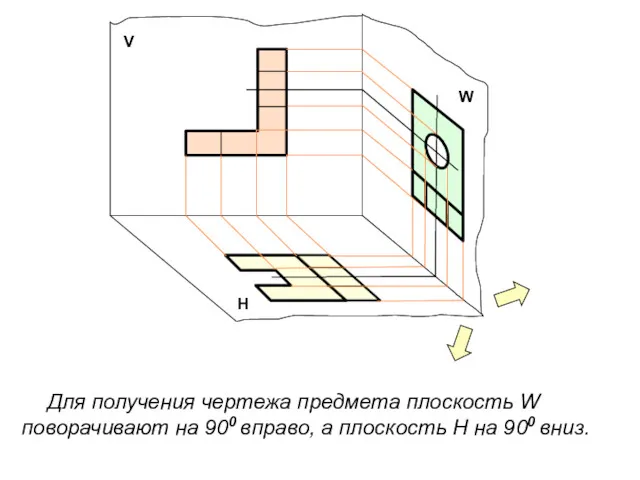 Н W V Для получения чертежа предмета плоскость W поворачивают