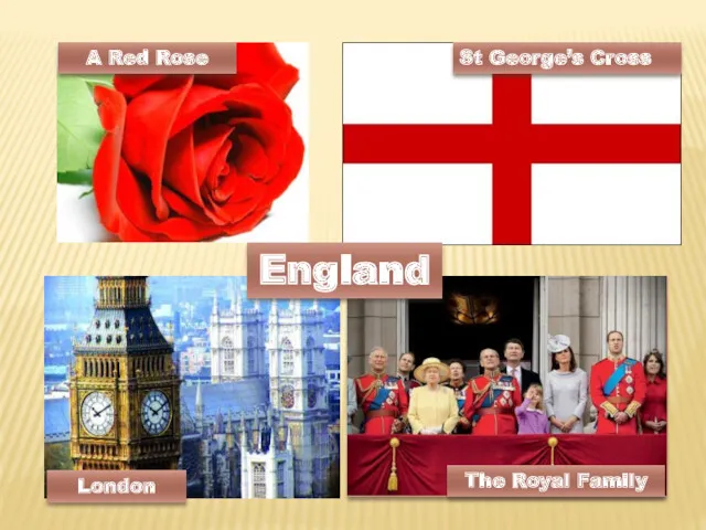 A Red Rose St George’s Cross London The Royal Family England