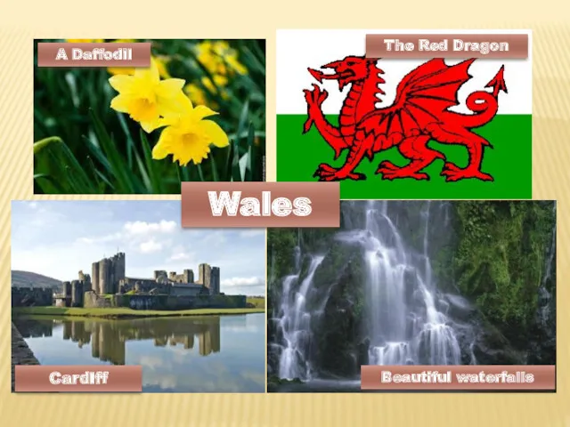 A Daffodil Cardiff The Red Dragon Wales Beautiful waterfalls