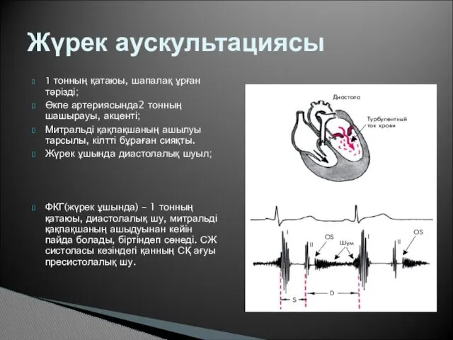 1 тонның қатаюы, шапалақ ұрған тәрізді; Өкпе артериясында2 тонның шашырауы,