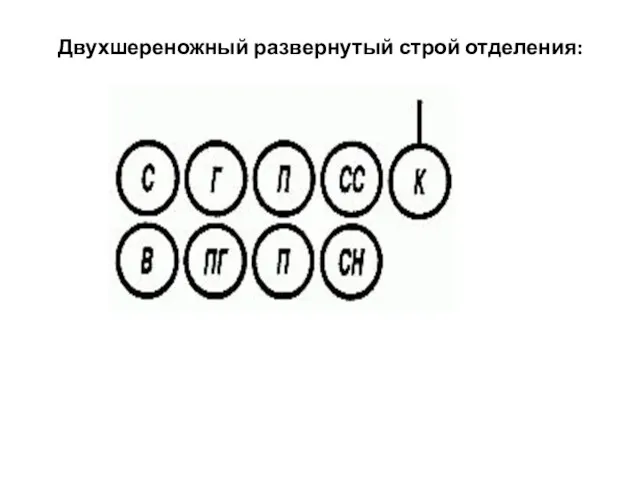 Двухшереножный развернутый строй отделения: