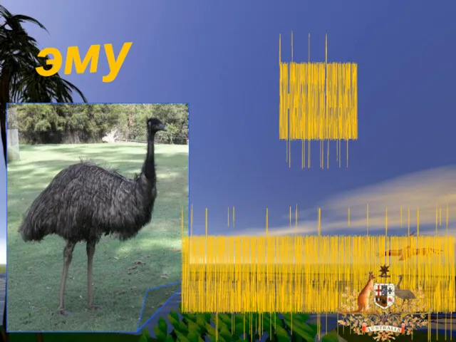 эму Эта птица – родственник казуара и африканского страуса. Эму