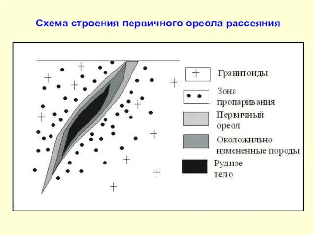 Схема строения первичного ореола рассеяния