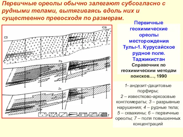 Первичные ореолы обычно залегают субсогласно с рудными телами, вытягиваясь вдоль них и существенно