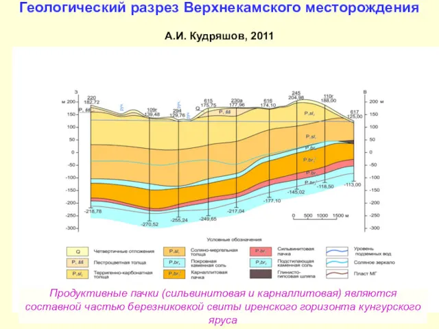 Геологический разрез Верхнекамского месторождения А.И. Кудряшов, 2011 Продуктивные пачки (сильвинитовая и карналлитовая) являются