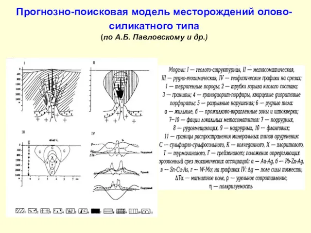 Прогнозно-поисковая модель месторождений олово-силикатного типа (по А.Б. Павловскому и др.)