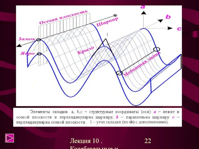 Лекция 10 . Колебательные и складчатые геотектонические движения 1 1