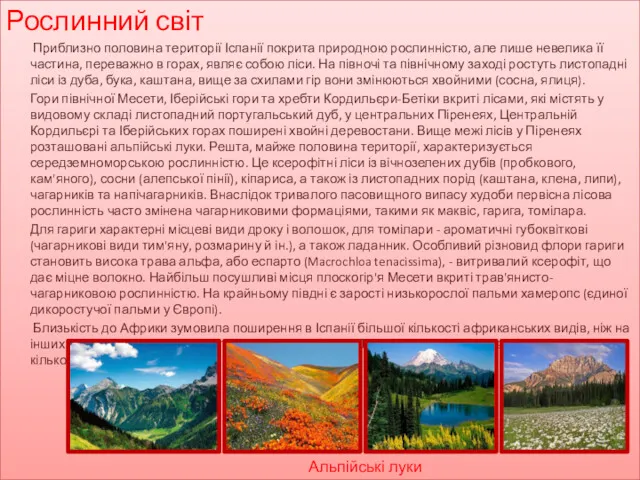 Рослинний світ Приблизно половина території Іспанії покрита природною рослинністю, але