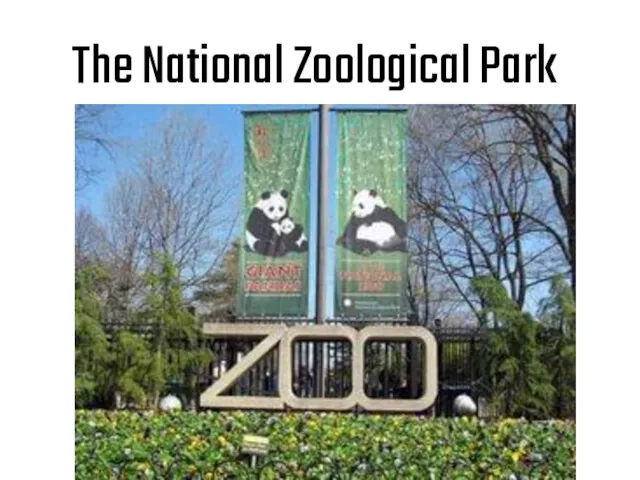 The National Zoological Park