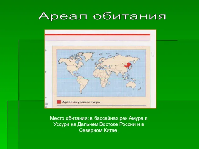 Место обитания: в бассейнах рек Амура и Уссури на Дальнем