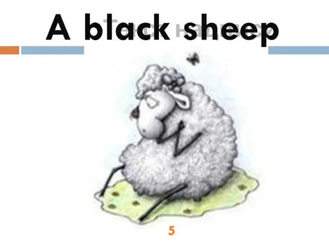 Текст надписи A black sheep 5