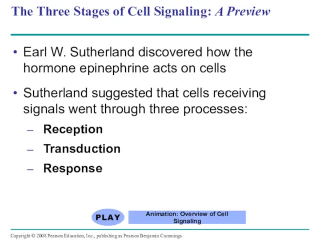 The Three Stages of Cell Signaling: A Preview Earl W. Sutherland discovered how