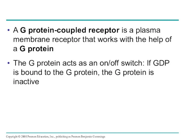 A G protein-coupled receptor is a plasma membrane receptor that works with the