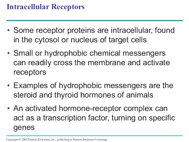 Intracellular Receptors Some receptor proteins are intracellular, found in the cytosol or nucleus