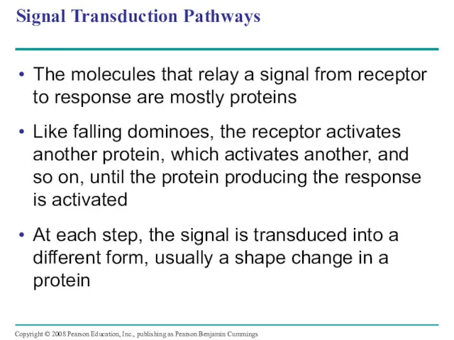 Signal Transduction Pathways The molecules that relay a signal from receptor to response